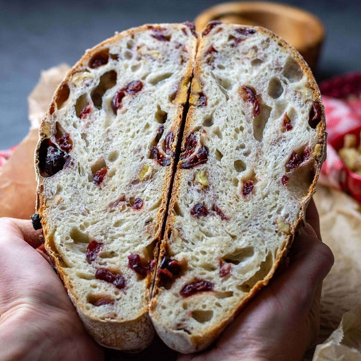 Cranberry Walnut Sourdough