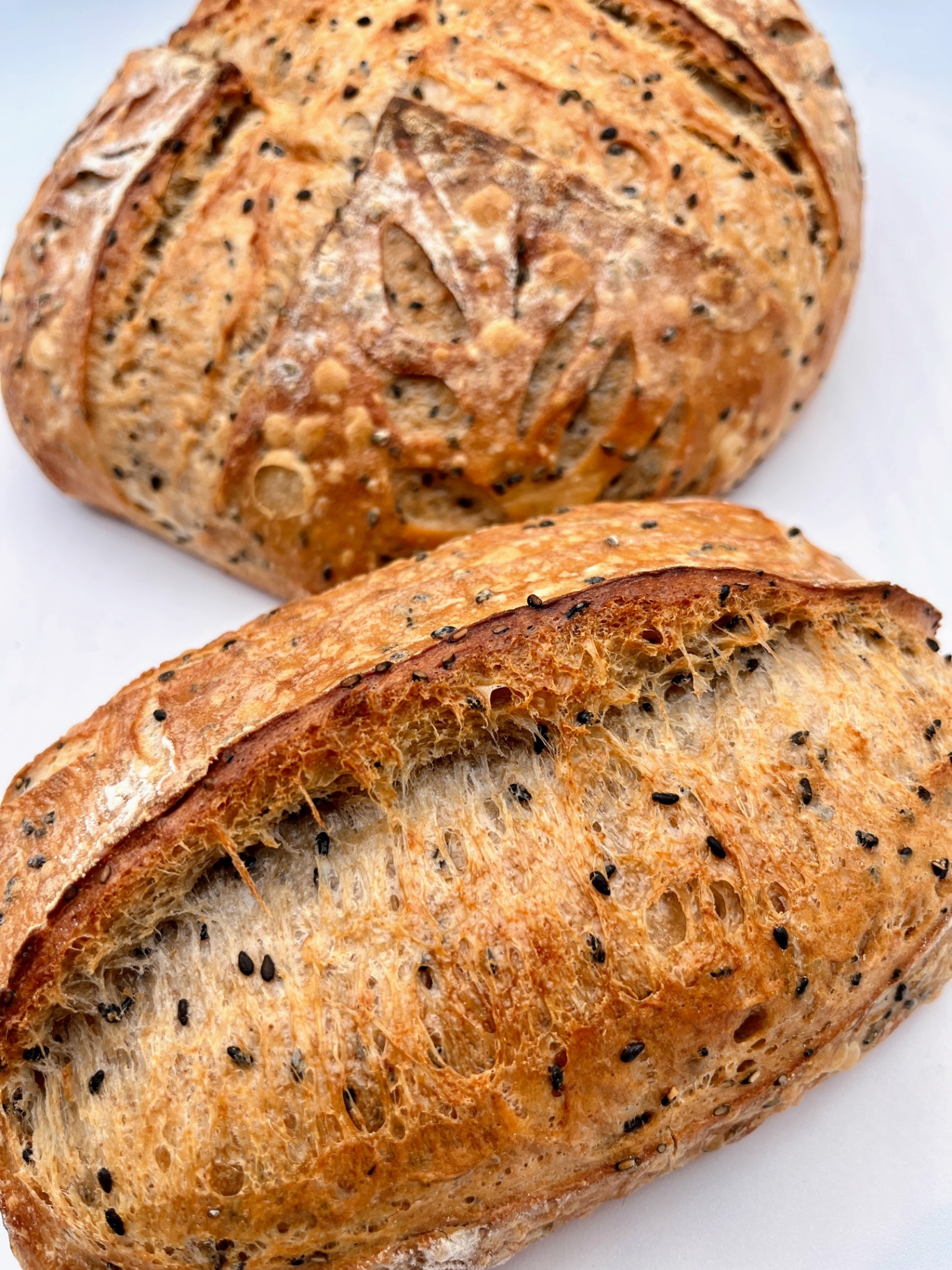 Everything Bagel Sourdough