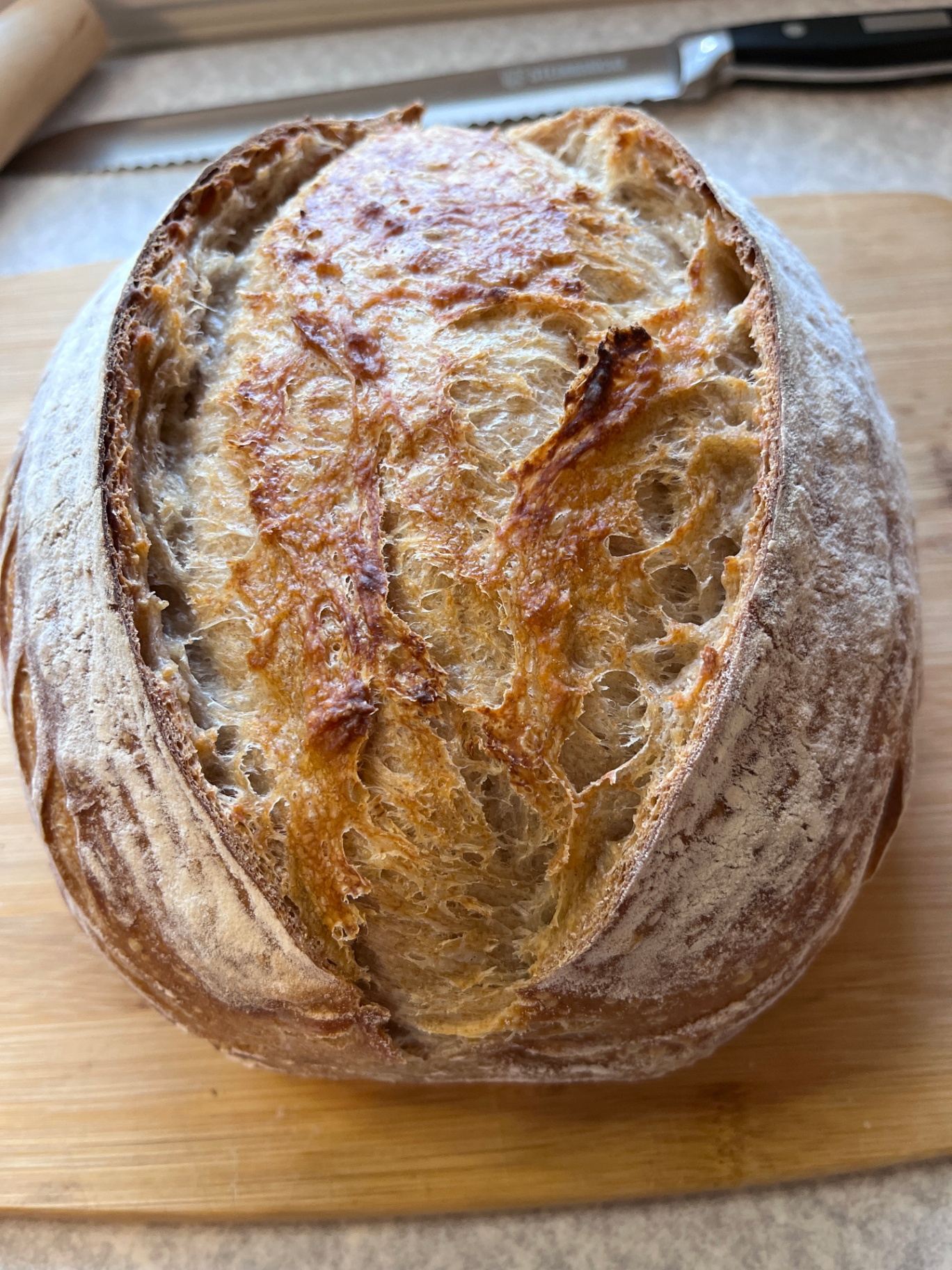 Classic French Batard with Pâte Fermentée