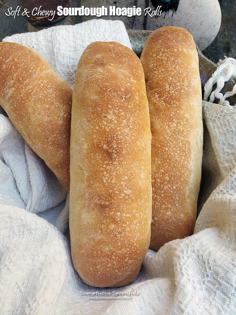 Sourdough Hoagie Rolls - finished bread